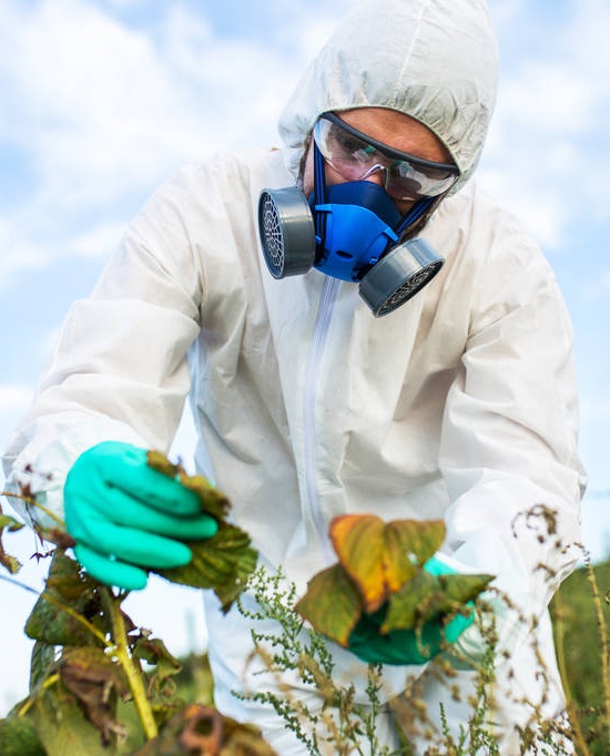 Professional pest removal